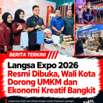file_00000000b8cc8211a6eee78138186d5c